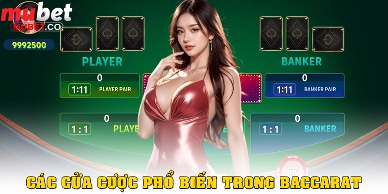 Baccarat là gì? Hướng dẫn chi tiết cho người mới ở Mubet 2 Các cửa cược phổ biến trong baccarat là gì?