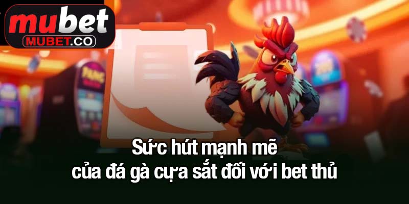 Đá gà cựa sắt - Trận đấu quyết liệt một mất một còn 2 Sức hút mạnh mẽ của đá gà cựa sắt đối với bet thủ